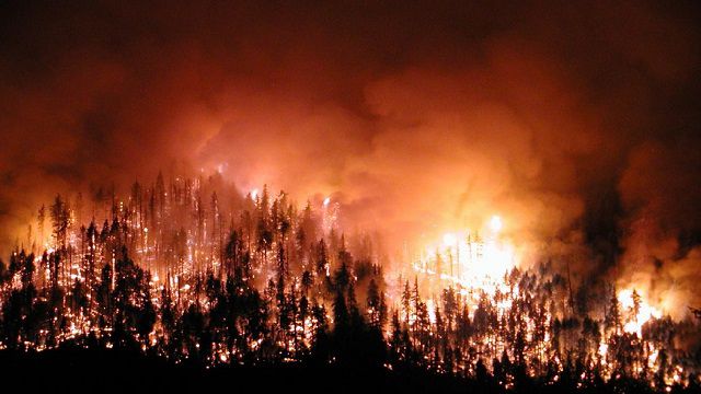 2 bin 792 orman yangınında 12 bin 806 hektar alan zarar gördü