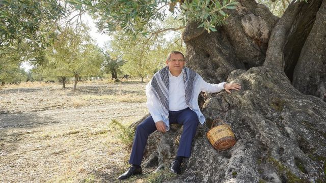 Ayvalık Belediyesi 5 ton zeytinyağı elde etti