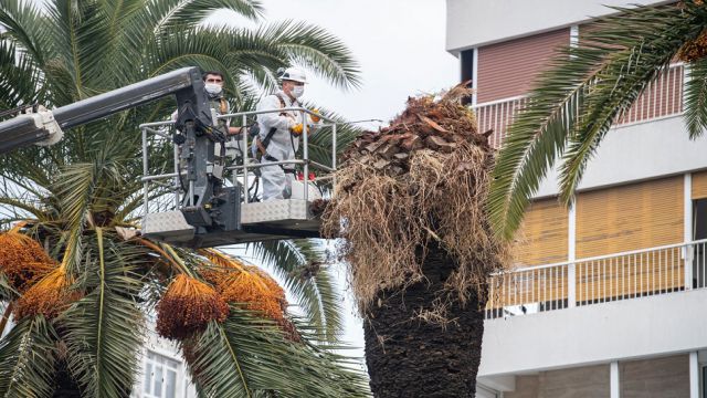 İzmir'in simgeleri tehlikede...