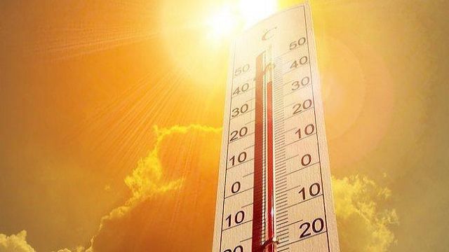 Türkiye son 52 yılın en sıcak kışlarından birini yaşadı