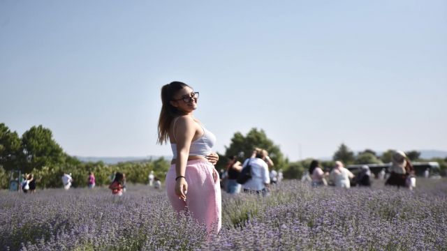 Mor rengin ahengi, güneşin sarısıyla birleşti...