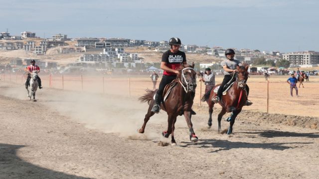 Türkiye'nin şampiyon rahvan atları Menemen'de yarıştı