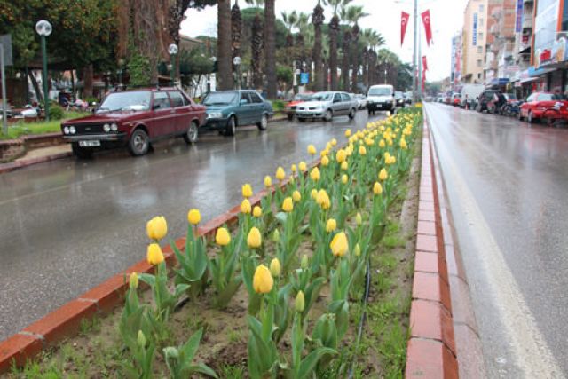 Burası İstanbul değil...