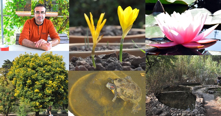 Ege Üniversitesi'nde 10 yılda 42 yeni bitki türü keşfedildi...