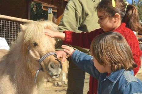 DOĞAL YAŞAM PARKINA ZİYARETCİ AKIMI...