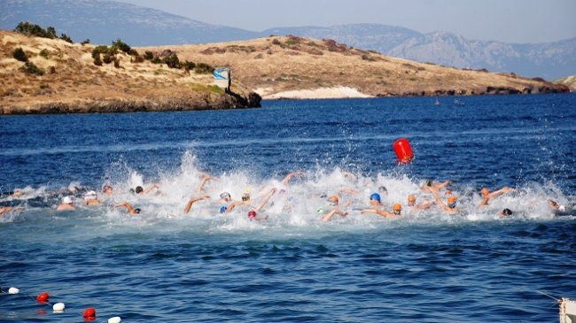 Türkiye Açık Su Yüzme Şampiyonası, Foça’da yapıldı