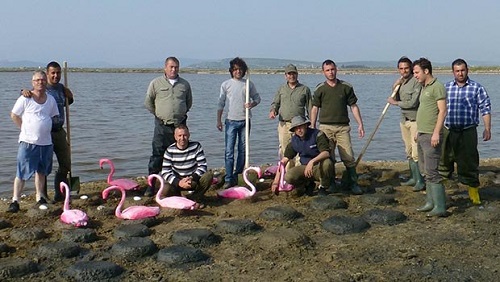 DÜNYANIN EN BÜYÜK YAPAY FLAMİNGO ADASI