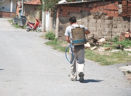 TORBALI'YI PİRELER BASTI...