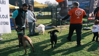 Türkiye’de ilk kez Köpekli Labirent Oryantiring yarışması yapıldı