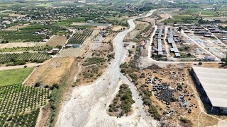 Bir zamanlar gürül gürül akıyordu... Gediz Nehri'ni de kuruttuk!