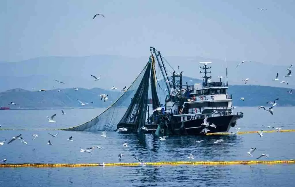 Denizlerde av yasağı 15 Nisan'da başlıyor