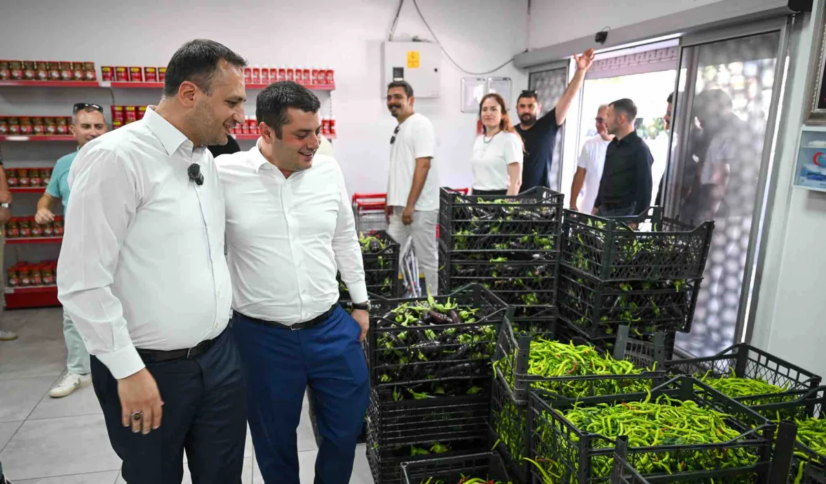 Tarladan kent market raflarına