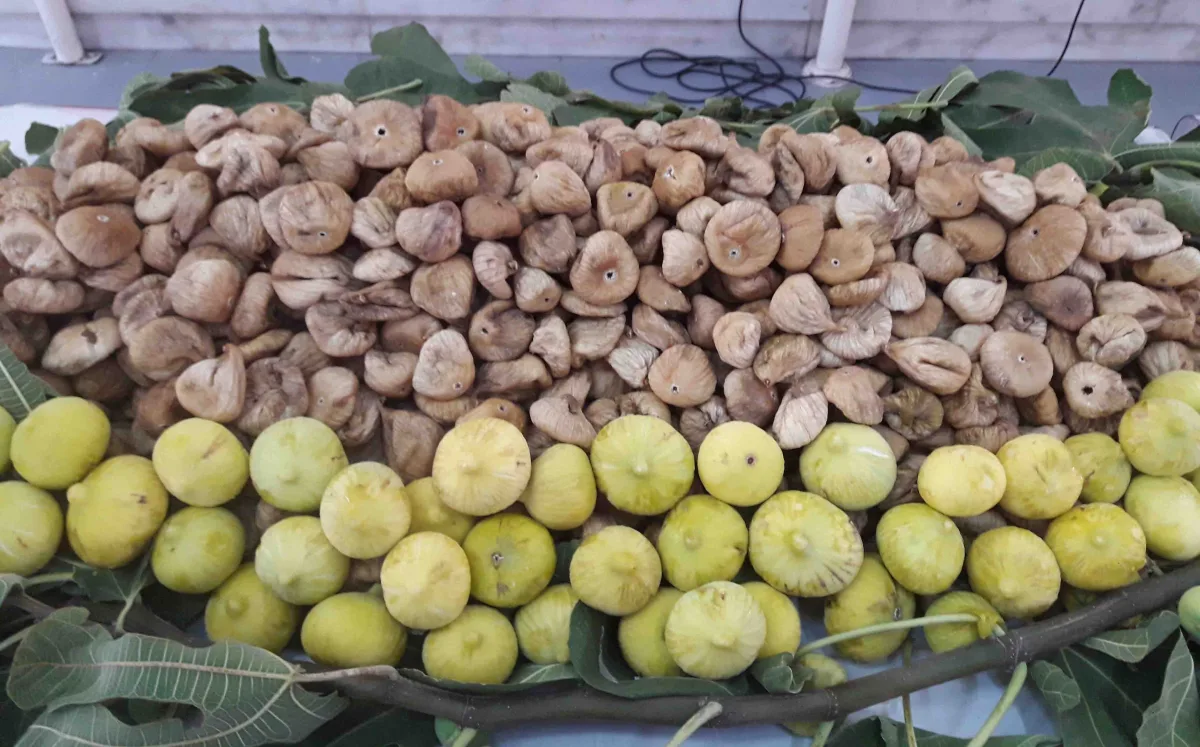 Uzakdoğu ülkeleri kuru incirimizi çok sevdi